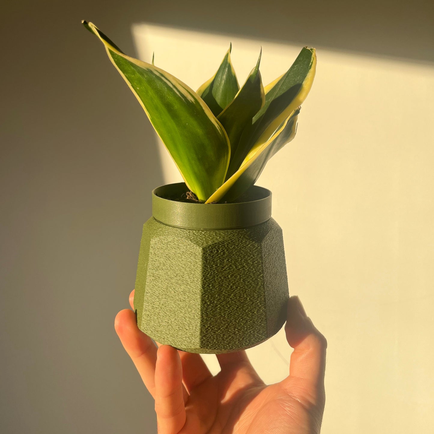 MOKA PLANT POT - 3D Printed plant pot