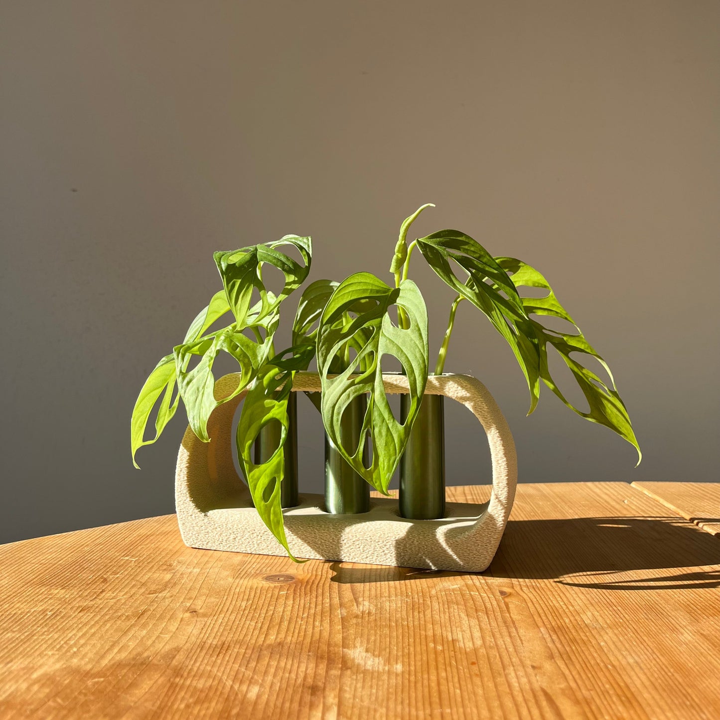 3D Printed Propagation Station - Stylish Set Of 3 Vase - Eco-Friendly Propagation Stand