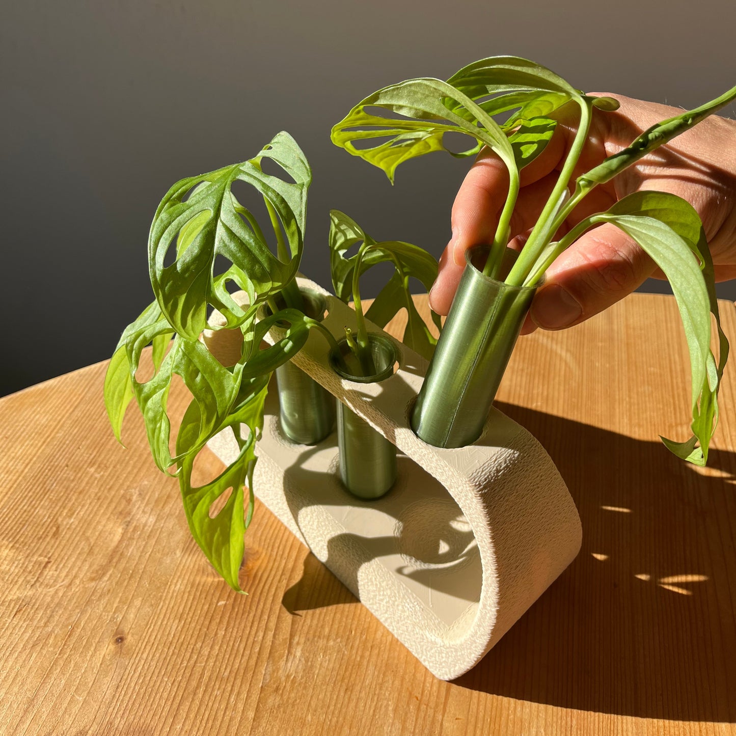 3D Printed Propagation Station - Stylish Set Of 3 Vase - Eco-Friendly Propagation Stand